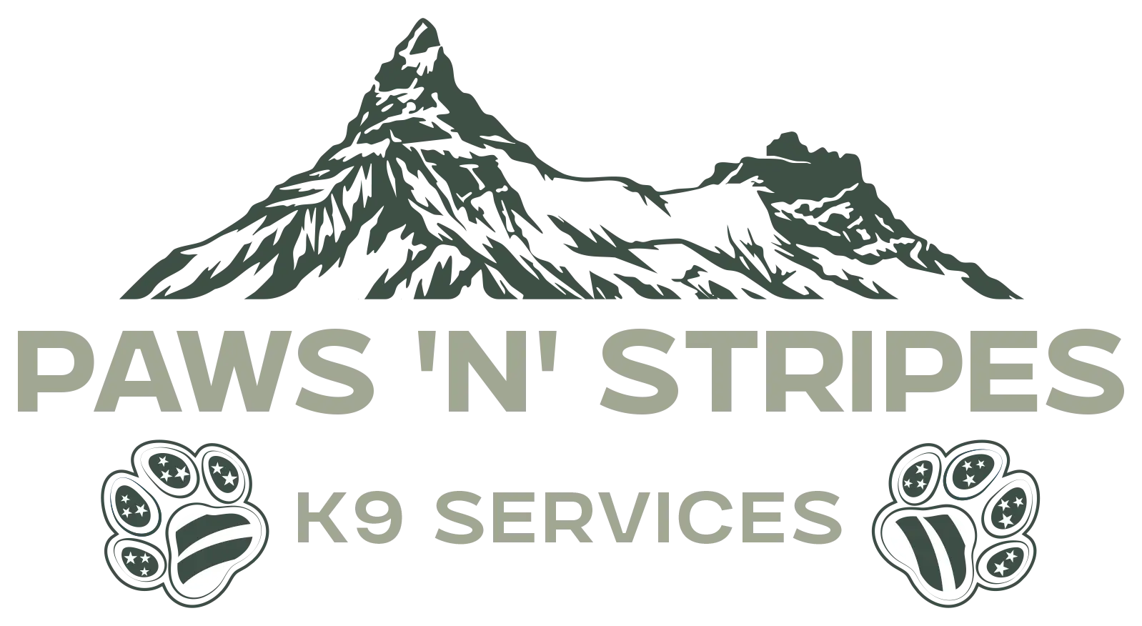 pnsk9services.com