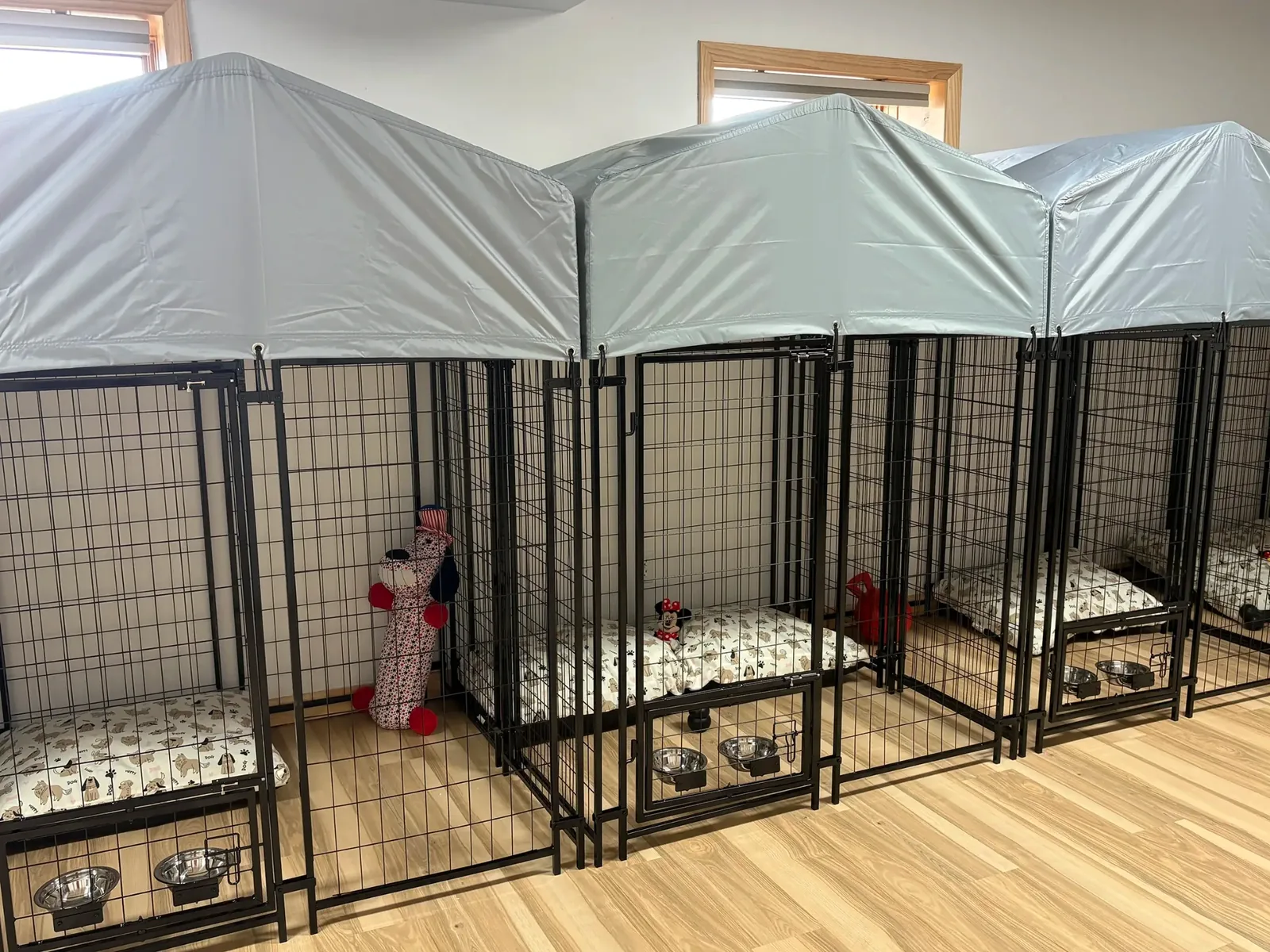 Overnight dog boarding accommodations Indoor overnight dog boarding accommodations at Paws 'N' Stripes